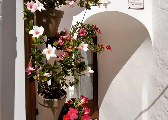 Trullo Delle Sorelle 公寓 阿尔贝罗贝洛